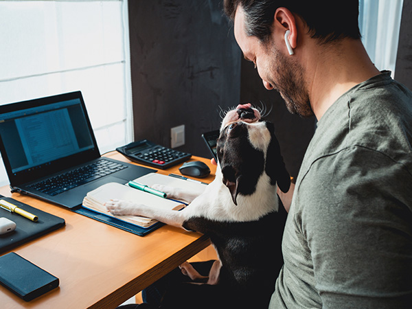 Man working at desk with dog in lap looking upward at owner