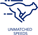Unmatched Speeds icon